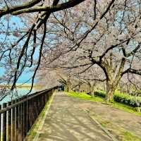 石垣池公園