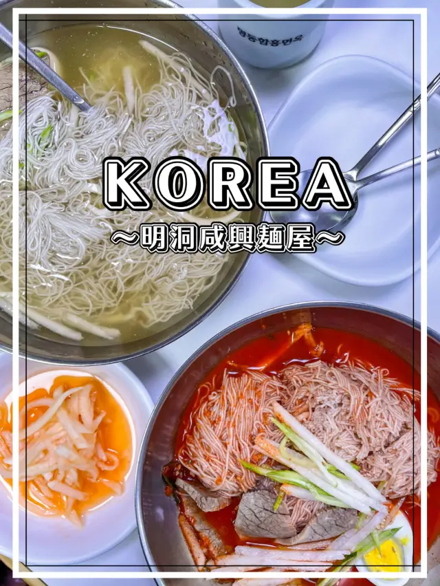 【韓国】明洞 冷麺を食べるなら迷わずにおすすめしたい専門店