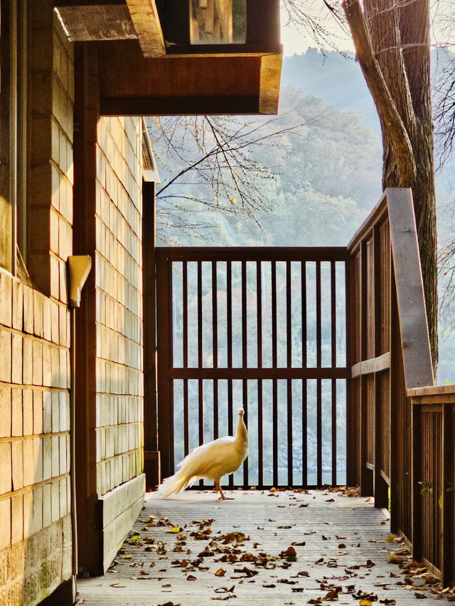 Nami Island