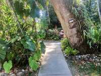 Daintree National Park