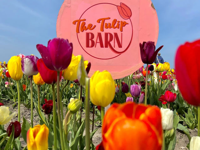 The Tulip Barn