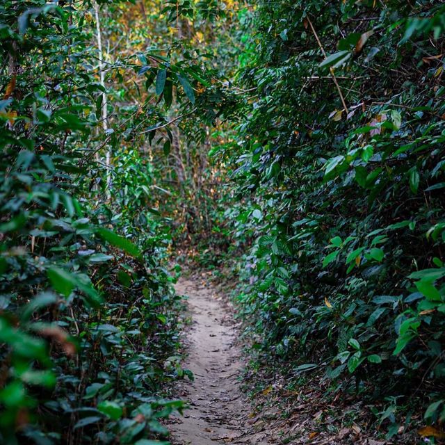 🏞️สงกรานต์นี้้พาไปเล่นน้ำให้ชุ่มช่ำ "น้ำตกห้วยหอย