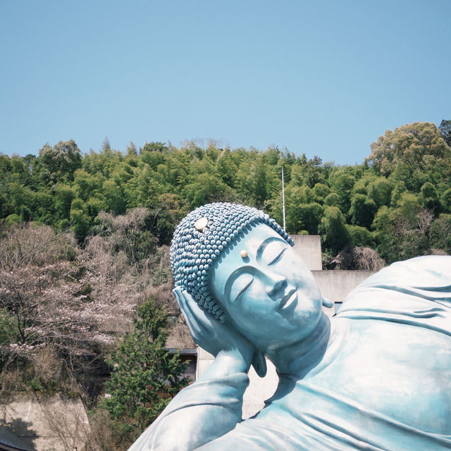 日本九州｜全世界最大的青銅臥佛🫶🏻