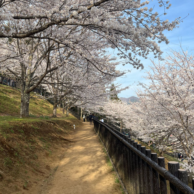 新倉富士淺間神社