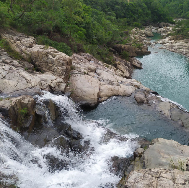 新加坡勿洛水庫公園：湖泊綠洲，適合身心放鬆