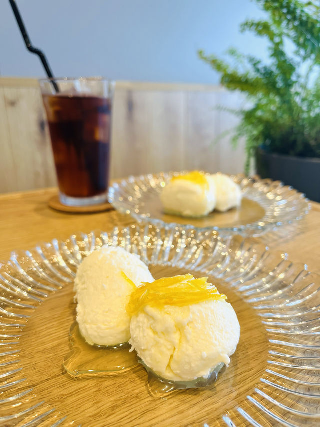 【福岡カフェ】海沿いドライブの途中に寄れるワンちゃんOKのカフェ🌊