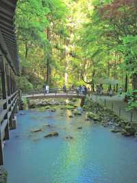 【山口】屋内の壮大さたるや⛰🏔鳥肌間MAX‼️壮大な光景が広がる鍾乳洞を紹介✨✨
