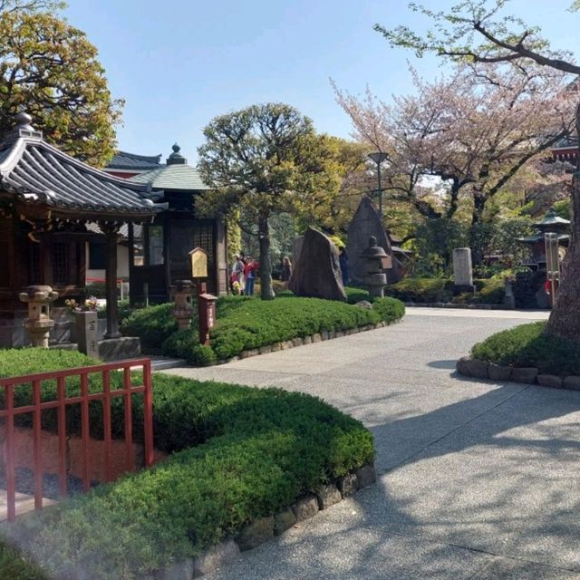 🌸วัด Sensoji (วัด Asakusa)🎍