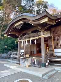 【貫井神社/東京都】湧水流れる美しい境内