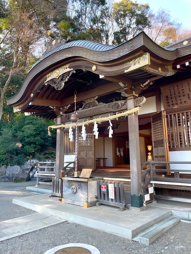 【貫井神社/東京都】湧水流れる美しい境内