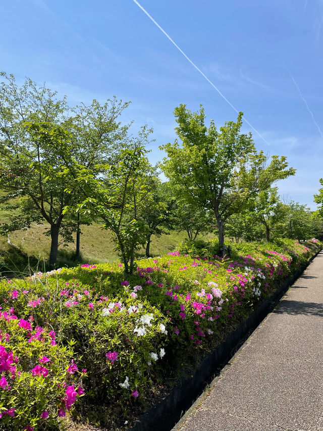 【和歌山県】無料で楽しめる緑豊かな「道の駅　四季の郷公園」