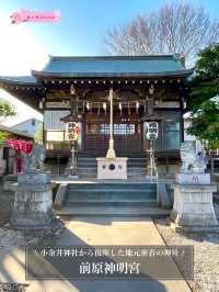 【前原神明宮/東京都】小金井神社から復座した地元密着の神社