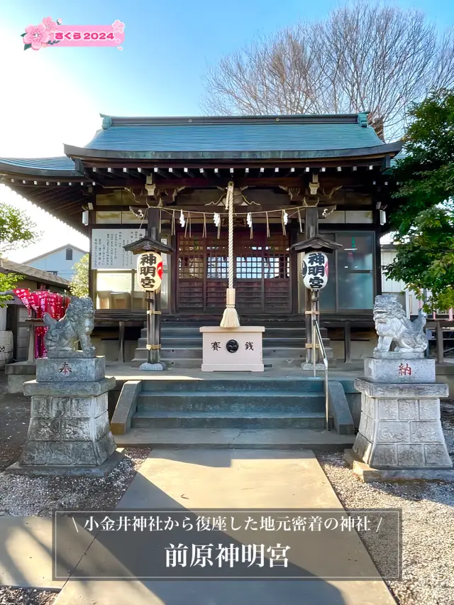 【前原神明宮/東京都】小金井神社から復座した地元密着の神社