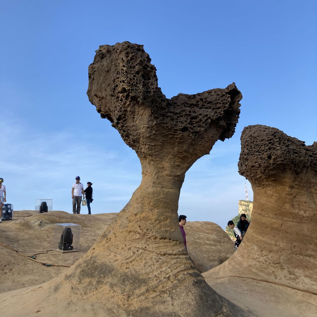 【台湾】野柳地質公園⛰クイーンズベッド