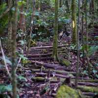 Penrissen Peak: A Hidden Gem in Sarawak's Wilderness