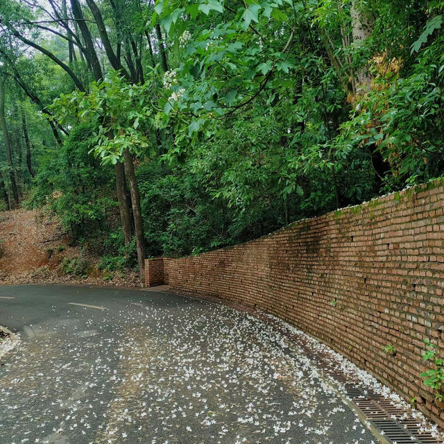 珠海二井灣濕地公園～感受大自然的恬靜優雅