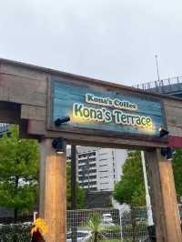 【北九州グルメ】雨でもBBQができちゃう！ハワイ料理のお店