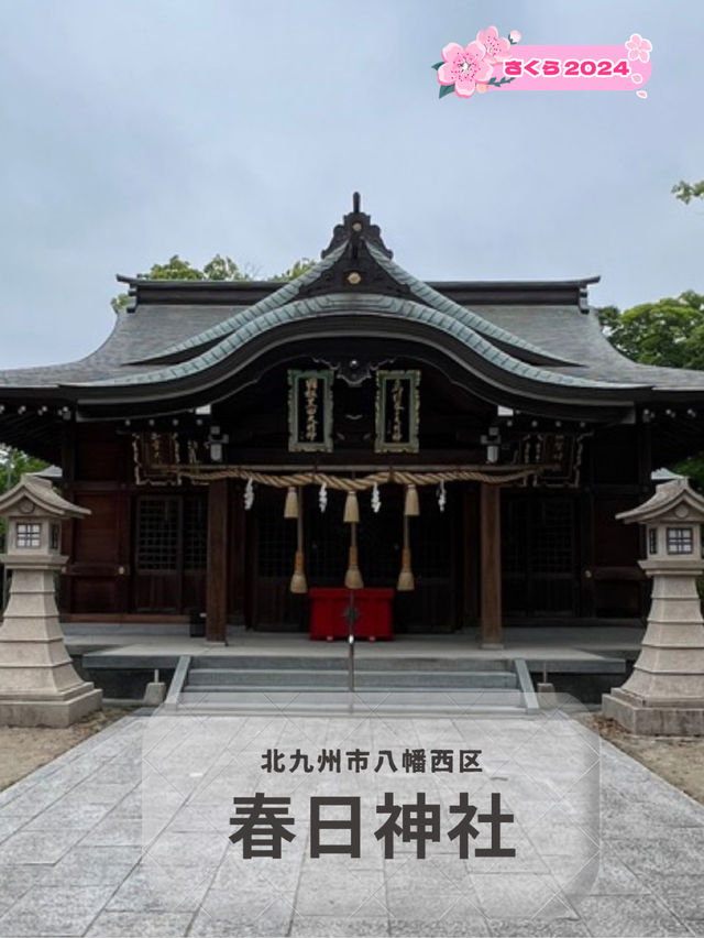 【北九州神社】八幡西区・黒崎地区を代表する神社