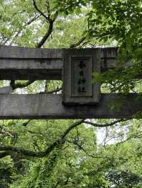 【北九州神社】八幡西区・黒崎地区を代表する神社