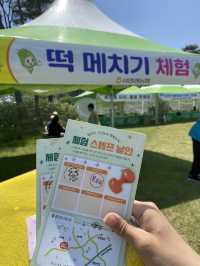 [전남영광] 따뜻한 봄날의 영광 찰보리 데이트💕