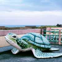 岡田漁港：海鮮美食之旅，物超所值
