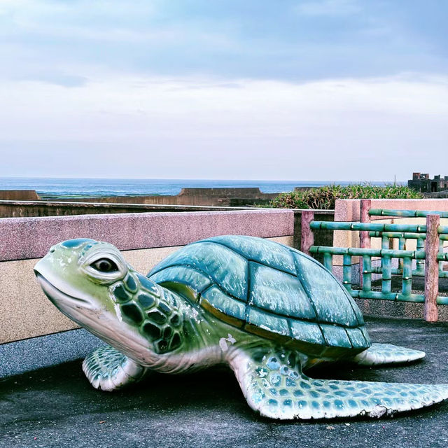 岡田漁港：海鮮美食之旅，物超所值