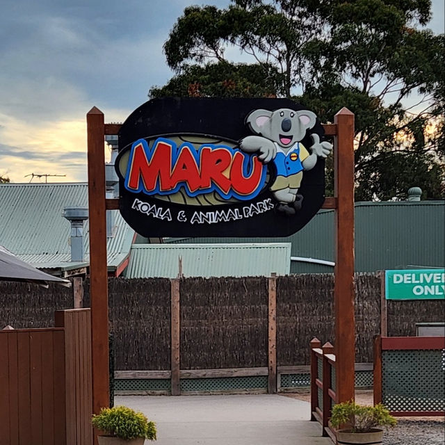 캥거루와 친구될 수 있는 ‘Maru 동물원‘