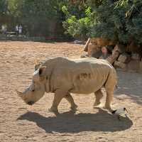 足立區生物園：多彩動物體驗