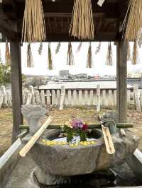 【福岡観光】可愛いあひるがお出迎え♡鎮座1250年を迎える神社⛩