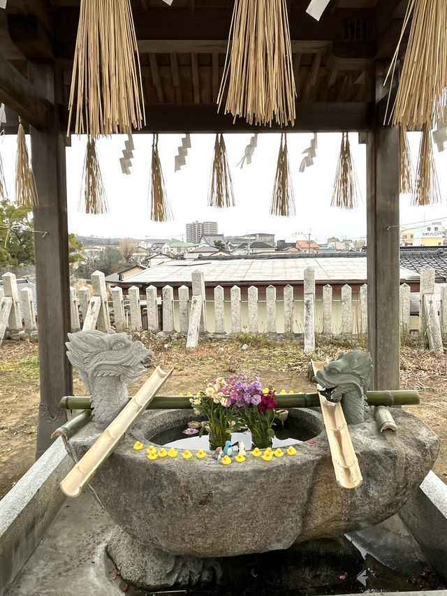 【福岡観光】可愛いあひるがお出迎え♡鎮座1250年を迎える神社⛩