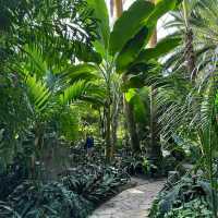 「沖繩東南植物樂園：珍稀植物，科普教育，豐富遊園體驗」