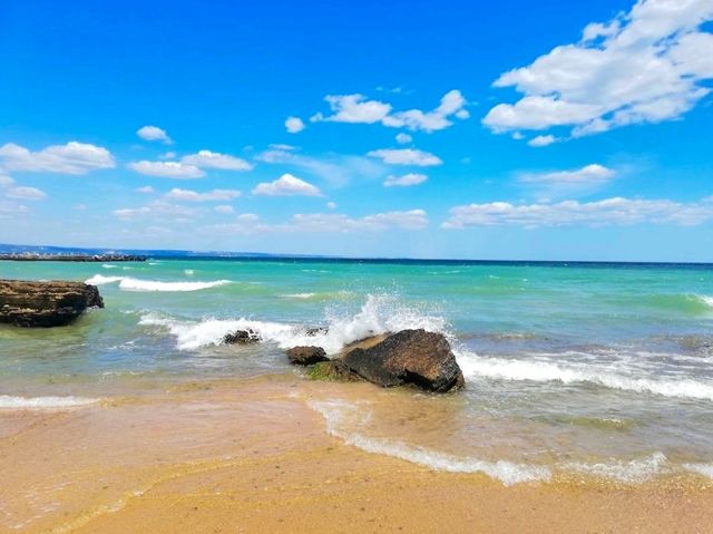 Riviera Beach Free Zone