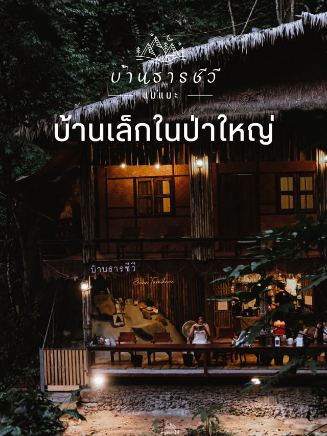 บ้านเล็กในป่าใหญ่ ….. บ้านธารชีวี