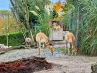 Rotterdam Zoo
