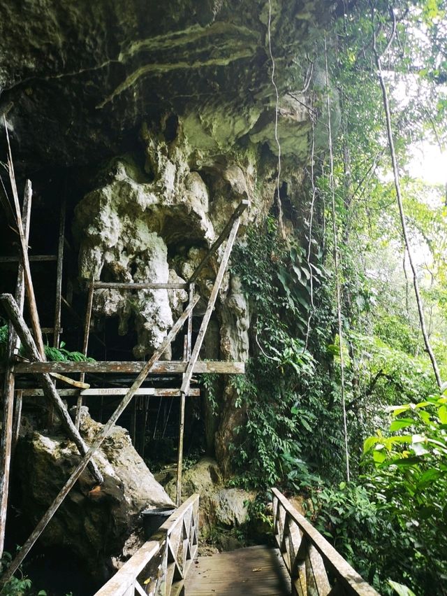 Niah National Park