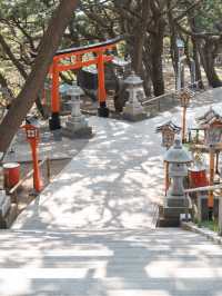 【青森にもあった！】千本鳥居絶景スポット⛩️⛩️高山稲荷神社