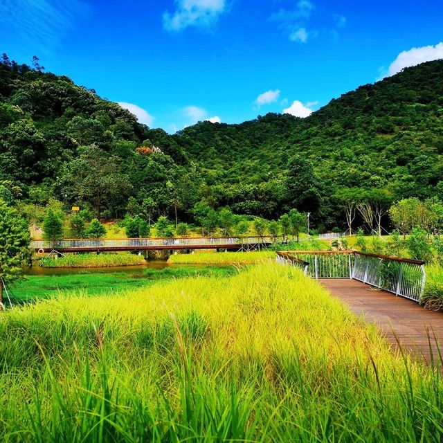 頭陂公園