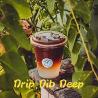 🌰Drip Dib Deep
