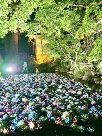 茨城県〜幻想的！7/7まで雨引き観音ライトアップ✨ | Trip.com 桜川市