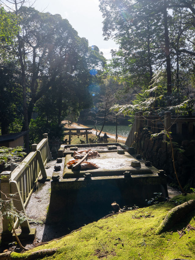 鳥取最強神社⛩再生と復活のご利益がある唯一無二の神社️🩵⛩💛赤猪岩神社復活の道