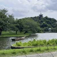 【横浜で緑を🍃】📍三溪園 (Sankeien)