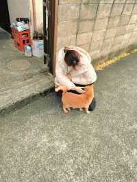 【日光】観覧車がエモい🤍猫好きさんにおすすめ🩶レトロな裏路地さんぽ🐈‍⬛ ͗ ͗〰︎︎❤︎