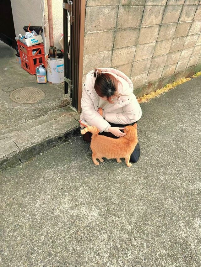 【日光】観覧車がエモい🤍猫好きさんにおすすめ🩶レトロな裏路地さんぽ🐈‍⬛ ͗ ͗〰︎︎❤︎