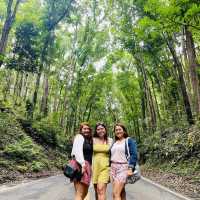 Discover Bohol with us!❤️