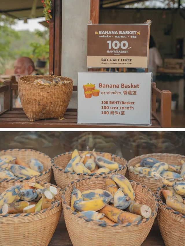 【タイ🇹🇭】世界でここだけ？！ゾウさんと遊べるカフェ！