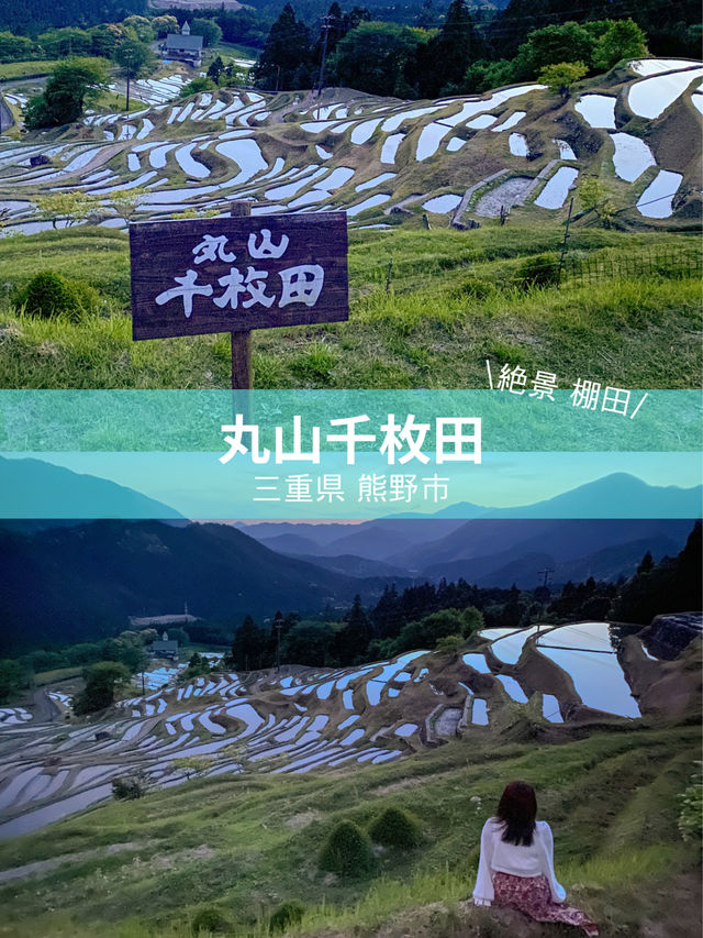 【三重 熊野市】三重の絶景スポット🌿丸山千枚田🌿