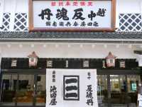 【富山城下町（①守る都市・治す産業）】（富山県富山市　旧国名：越中）