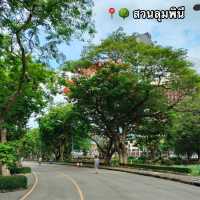 🌳สวนลุมพินี (MRT สีลม/ BTS ศาลาแดง)
