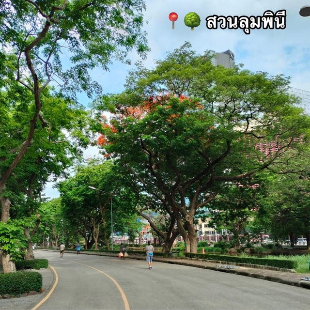 🌳สวนลุมพินี (MRT สีลม/ BTS ศาลาแดง)