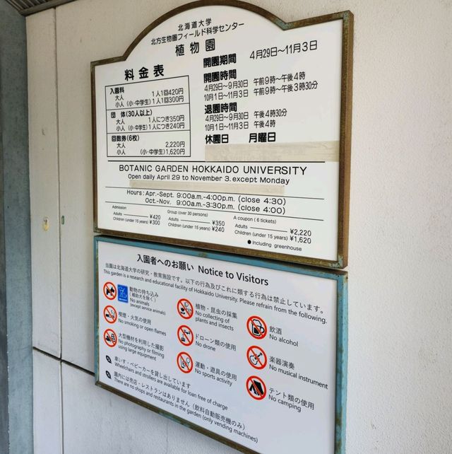 일본여행 홋카이도대학 식물원 北海道大学 植物園